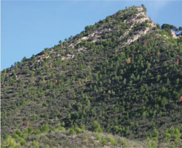 Daños extensos,
                                        grado 1