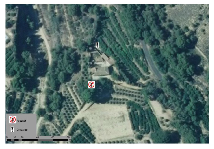 instalacion de repelentes y trampas