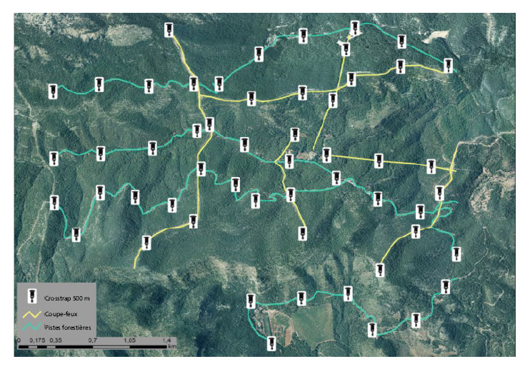 Instalacion de trampas para seguimiento exhustivo