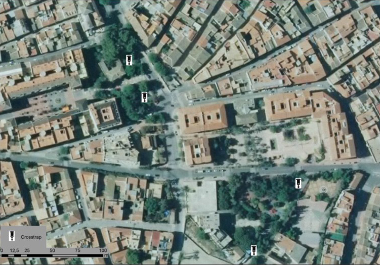 Trampas para el control del tomicus destruens